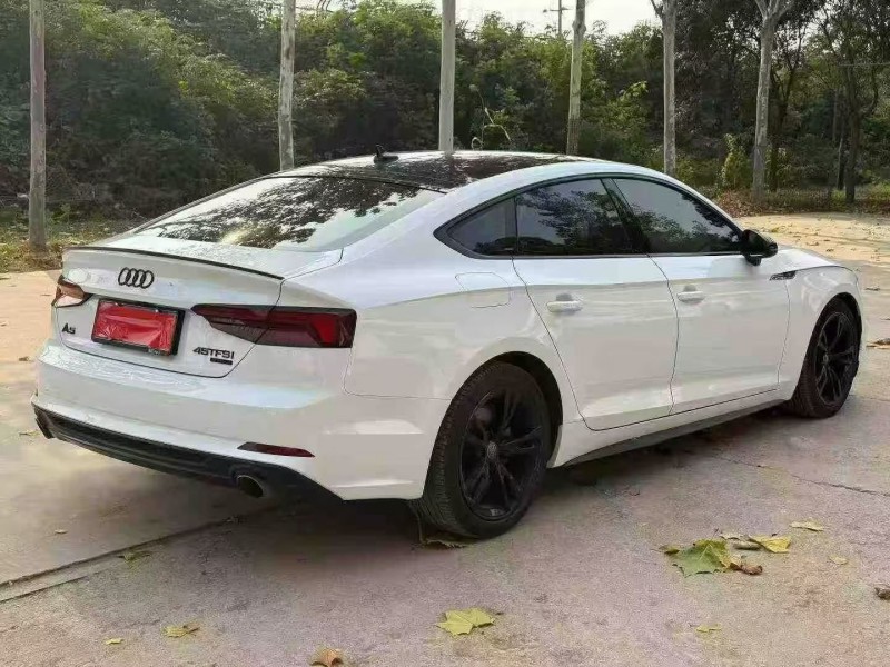 鹤壁20年奥迪A59