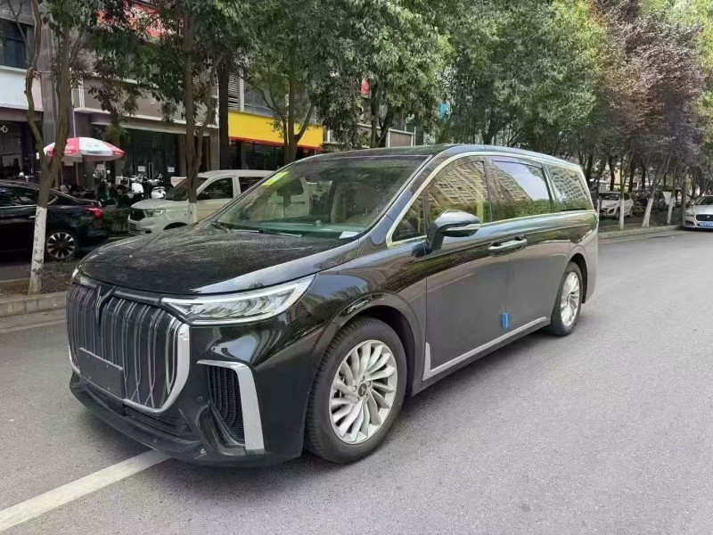 渭南25年岚图汽车梦想家2