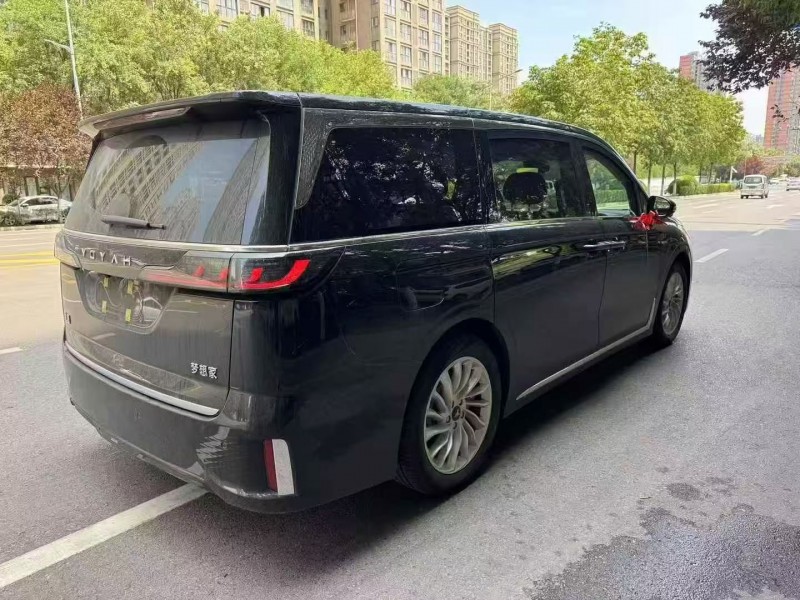 渭南25年岚图汽车梦想家7