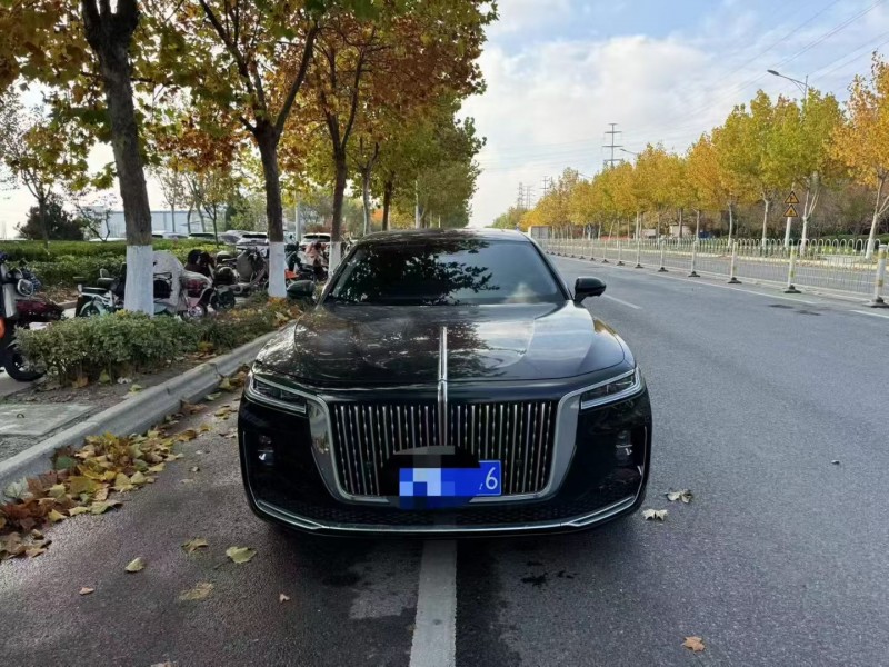 枣庄21年红旗H91