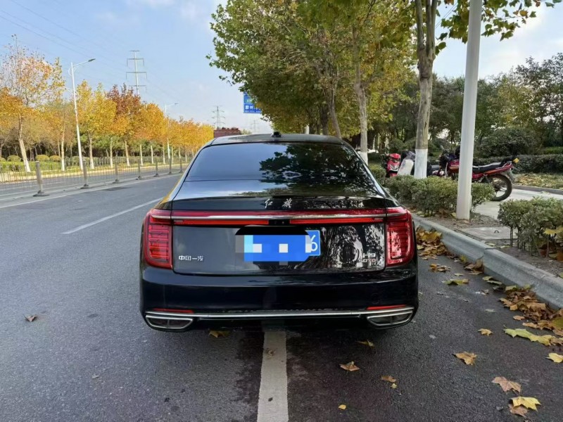 枣庄21年红旗H99