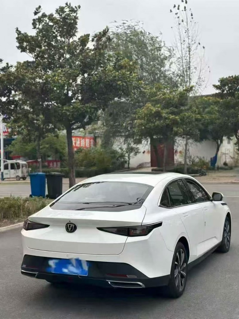 淄博24年长安汽车逸动7