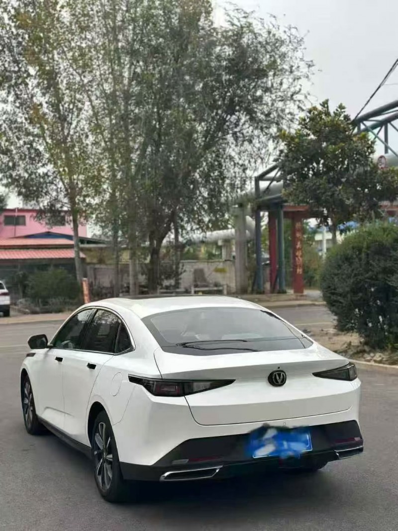 淄博24年长安汽车逸动8