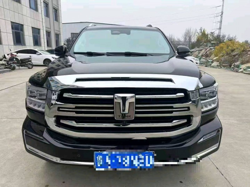 枣庄22年长城汽车坦克1