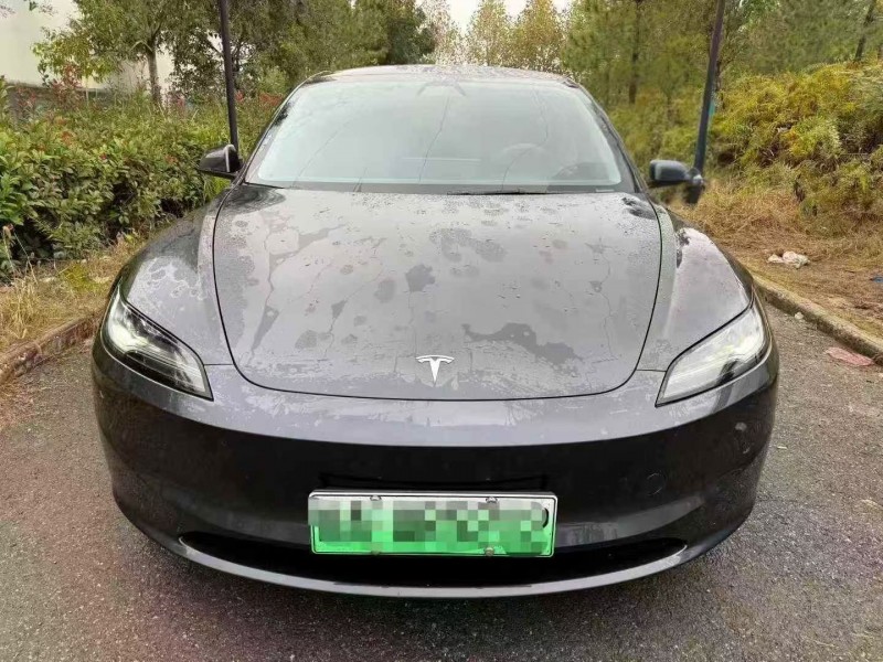 荆州25年特斯拉MODEL 31