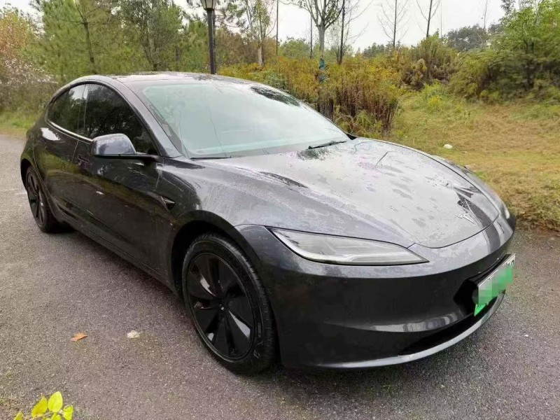 荆州25年特斯拉MODEL 32