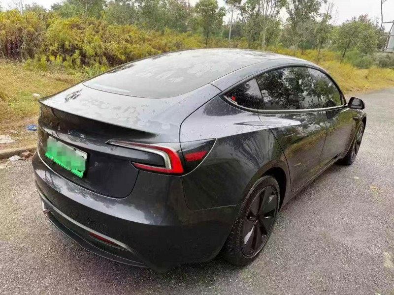 荆州25年特斯拉MODEL 39