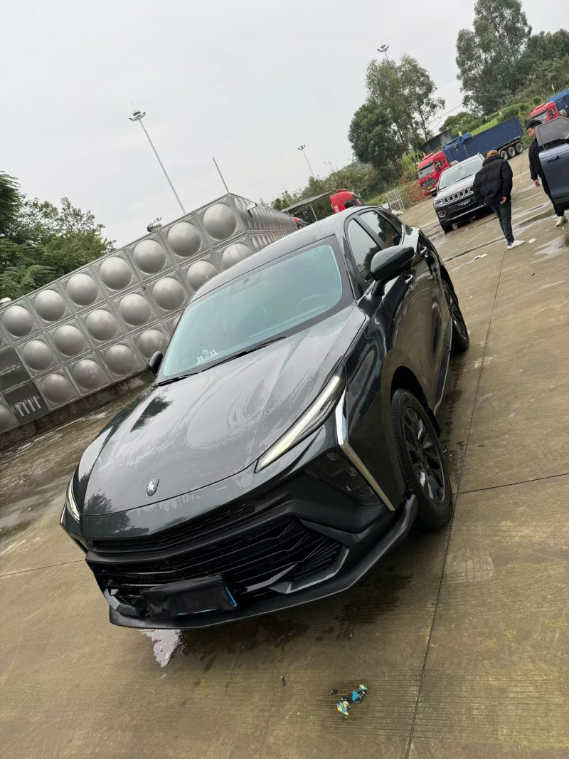 乐山24年东风风行2