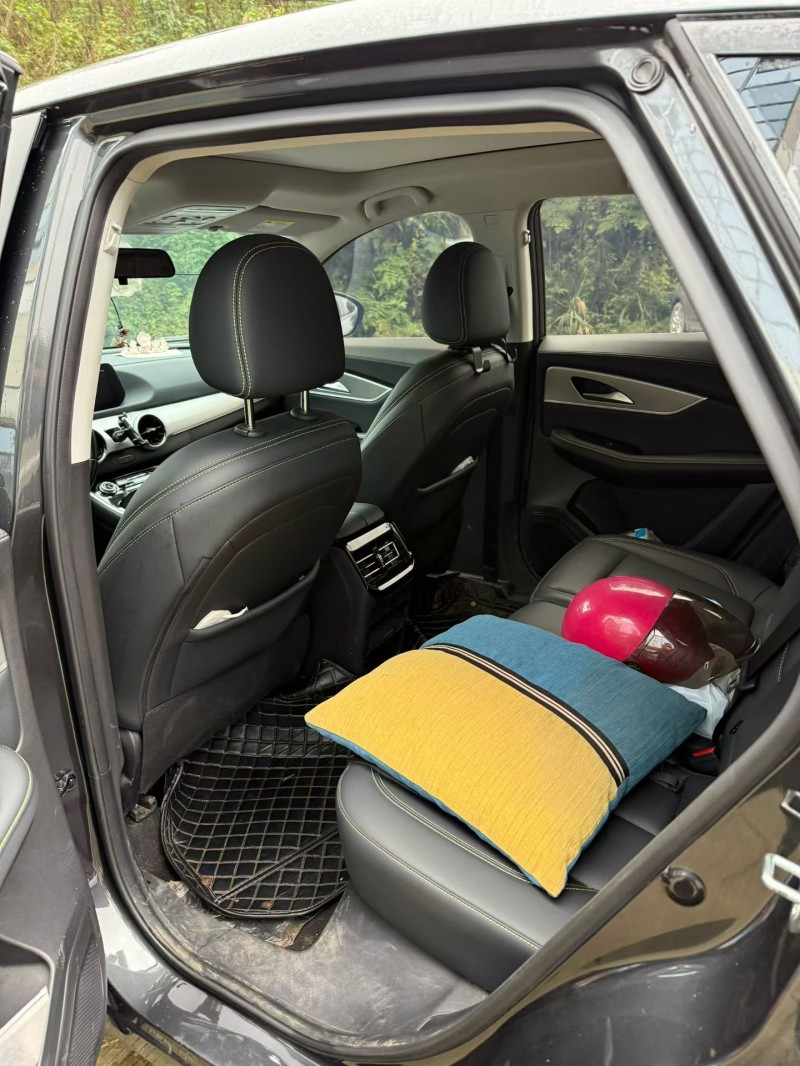 乐山24年东风风行4