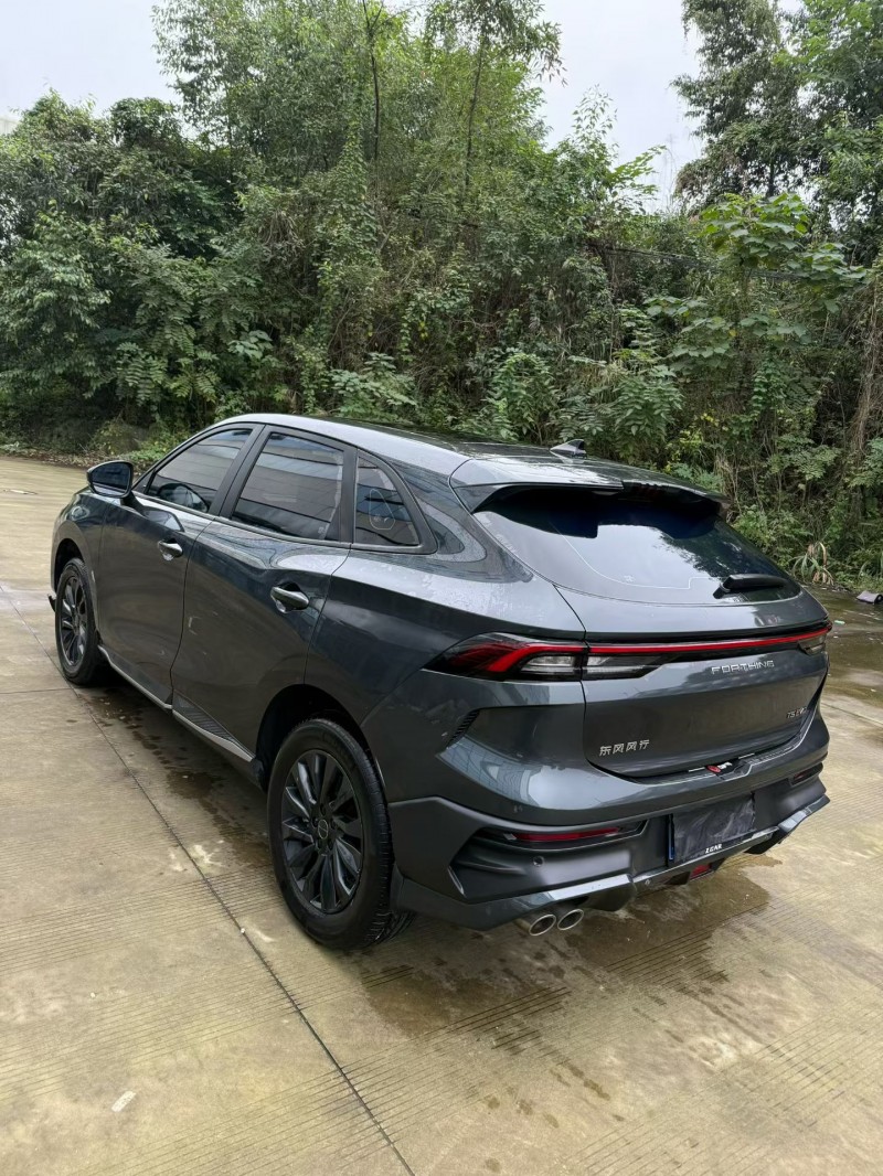 乐山24年东风风行5