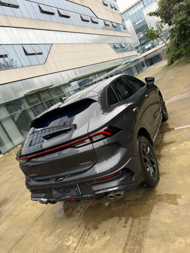 乐山24年东风风行6