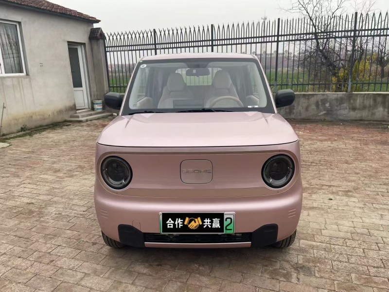 沧州24年吉利熊猫1