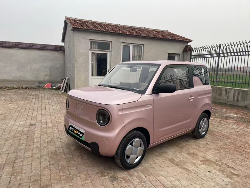 沧州24年吉利熊猫2