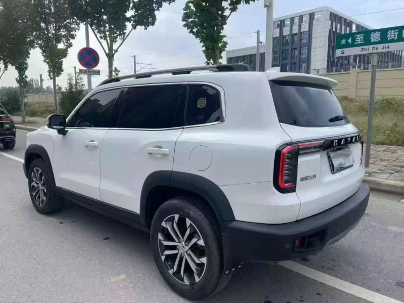 漯河22年哈弗大狗8