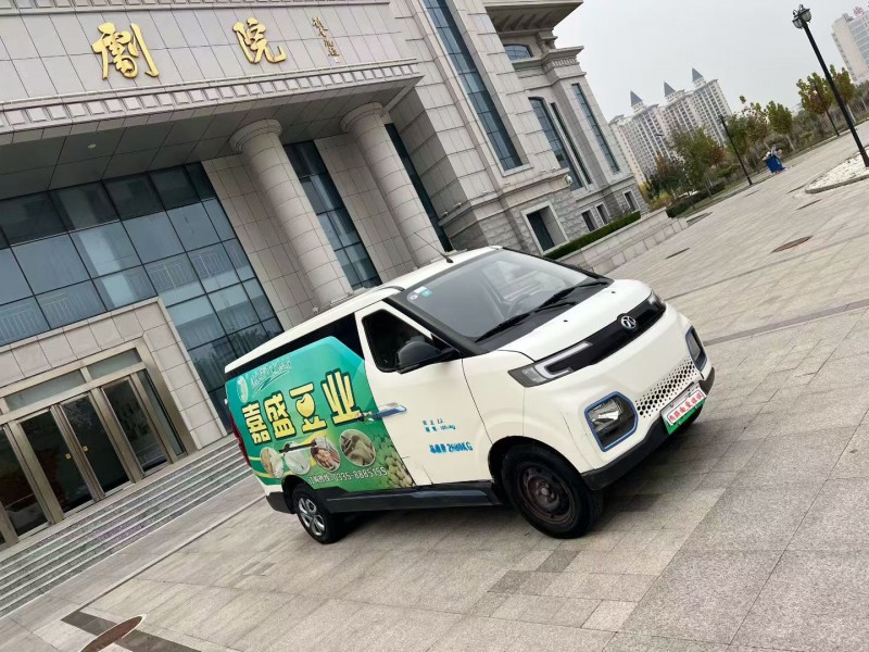 沧州20年北汽新能源EV系列2