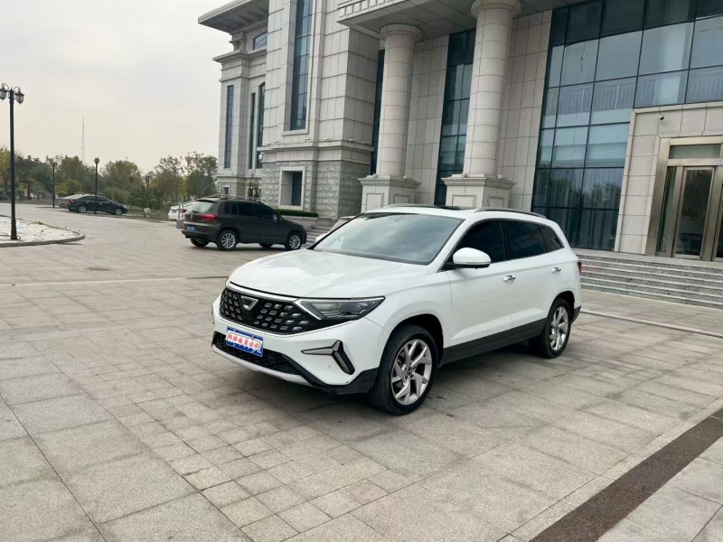 沧州24年大众捷达2