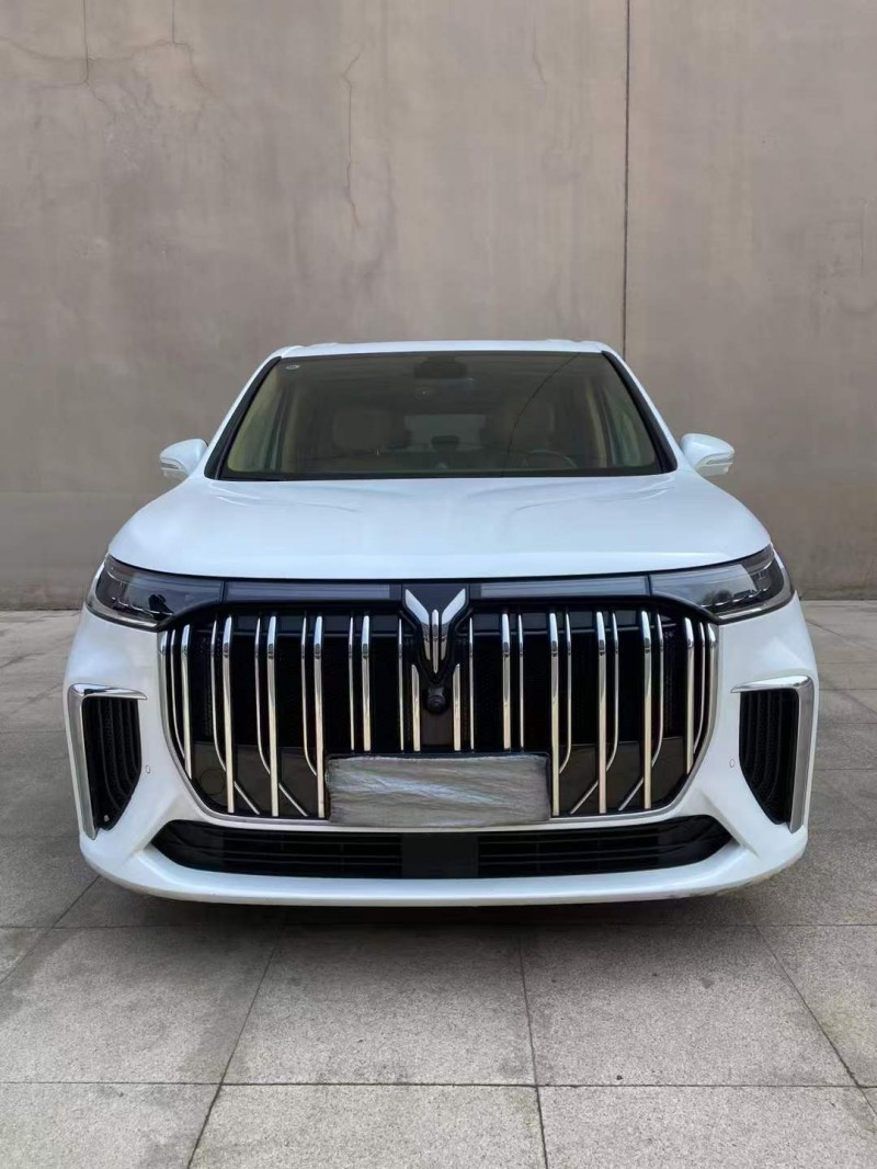 营口24年岚图汽车梦想家1