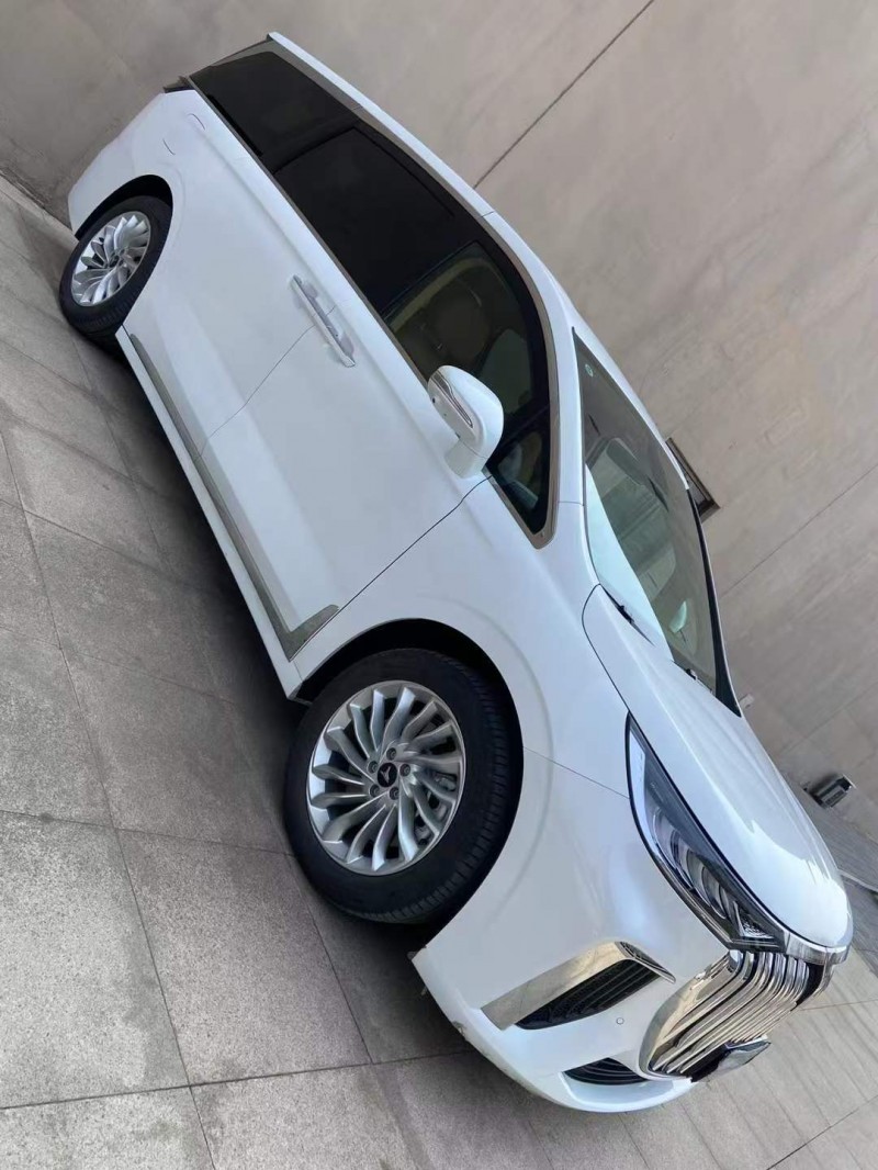 营口24年岚图汽车梦想家2