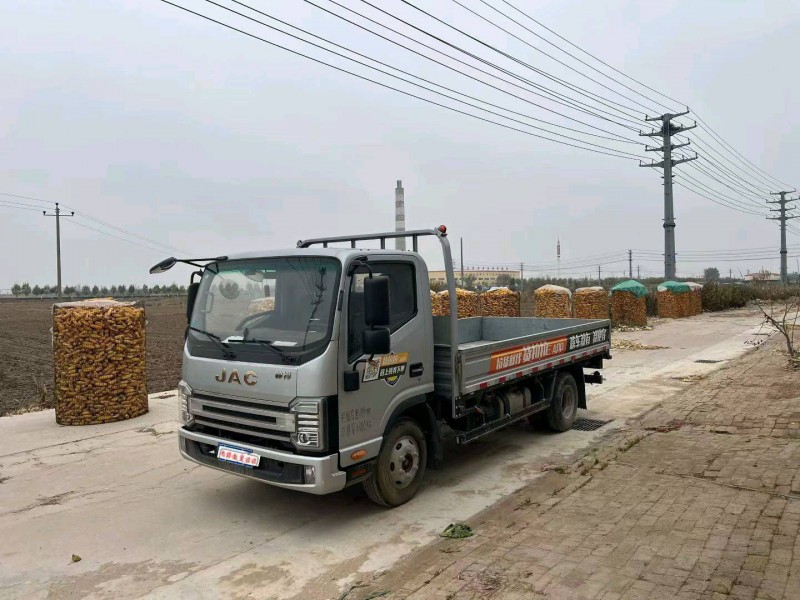 沧州24年江淮帅铃2