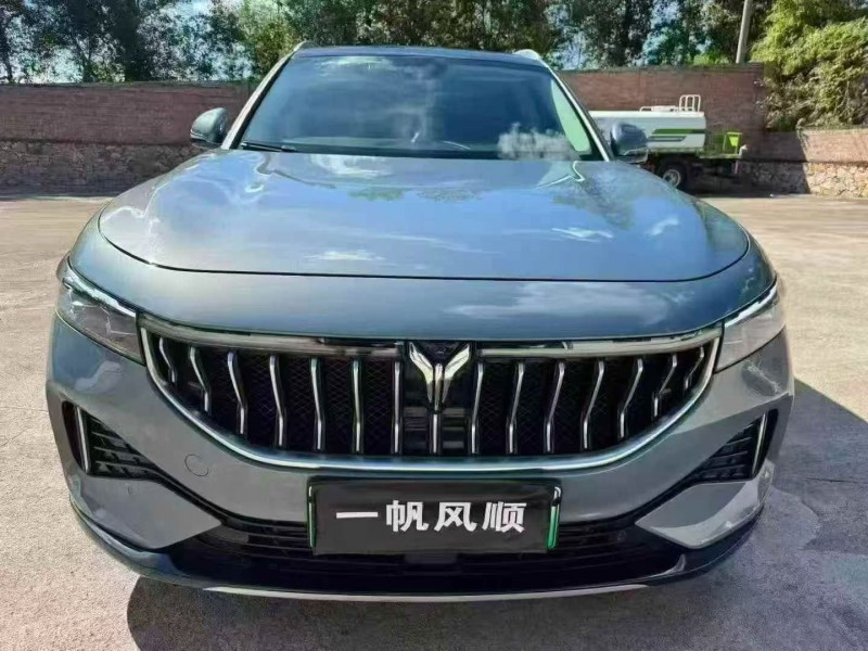 韶关22年岚图汽车FREE1