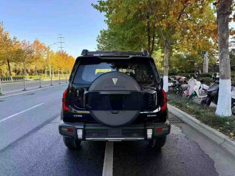 青岛25年长安汽车深蓝9