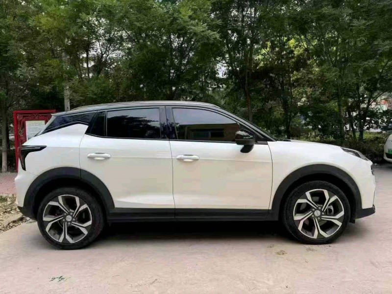 石家庄20年领克062