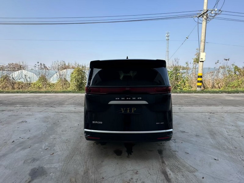 徐州24年腾势D99