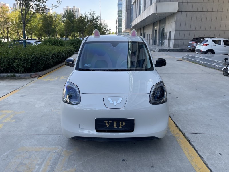 济宁25年五菱汽车宏光1