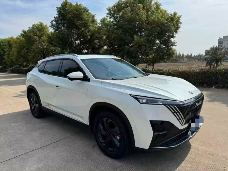 常州25年东风风神3