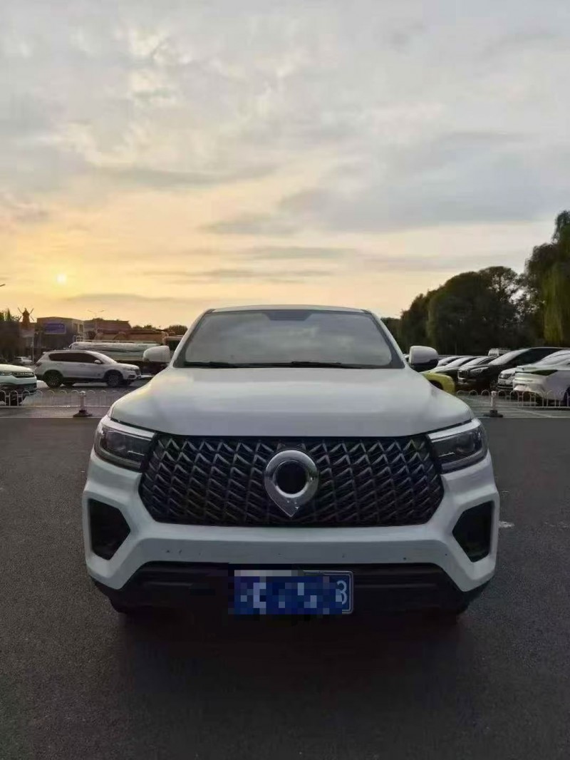 平顶山24年长城汽车炮 皮卡1