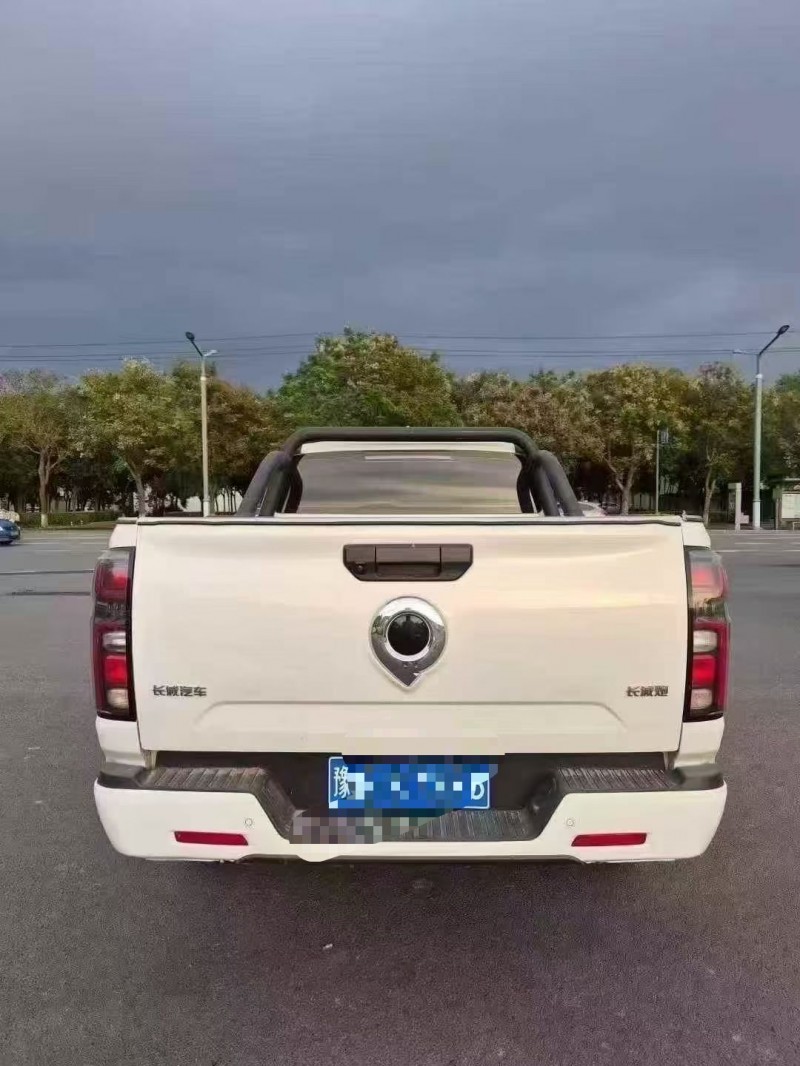 平顶山24年长城汽车炮 皮卡9