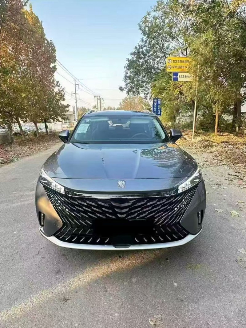 枣庄24年荣威ERX51