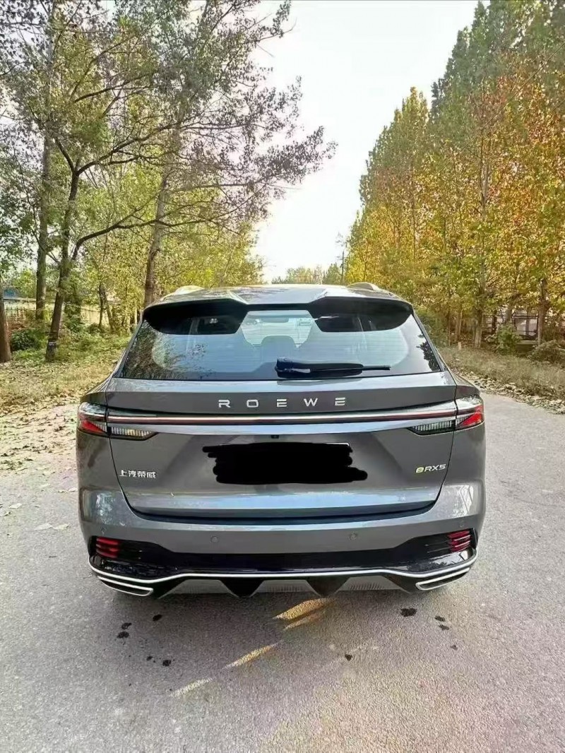 枣庄24年荣威ERX59