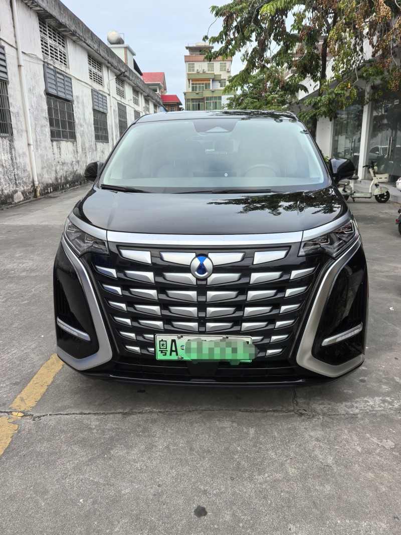 广州23年腾势D91