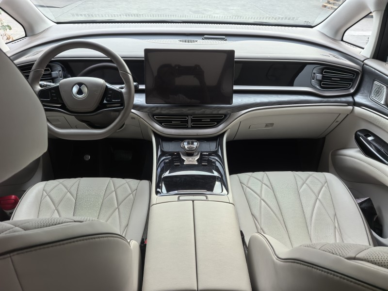 广州23年腾势D95