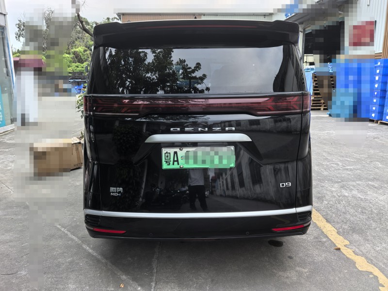 广州23年腾势D99