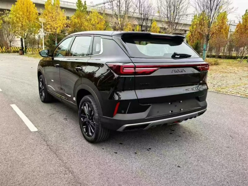 天津25年东风风神8