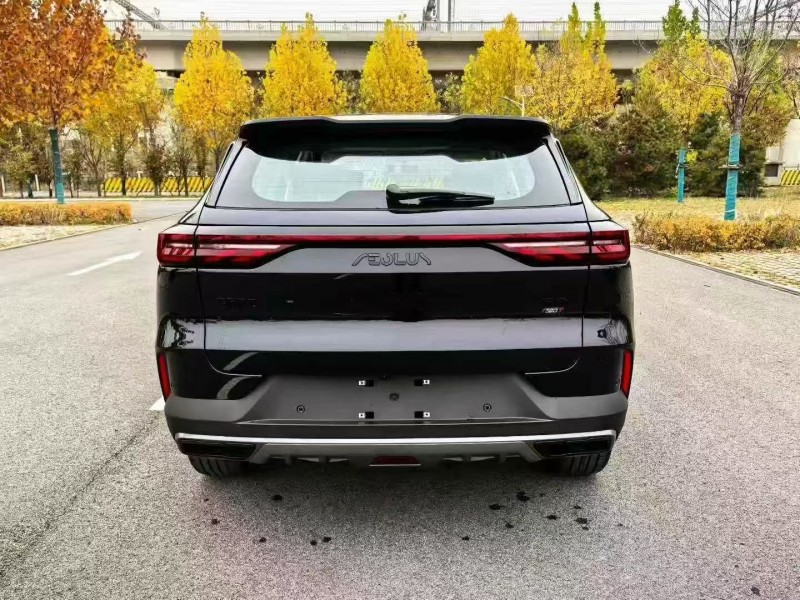 天津25年东风风神9