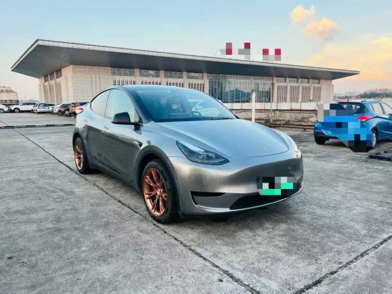 东莞22年特斯拉MODEL 32