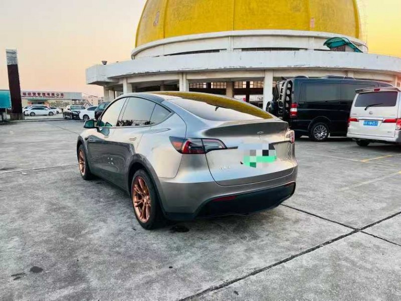 东莞22年特斯拉MODEL 37