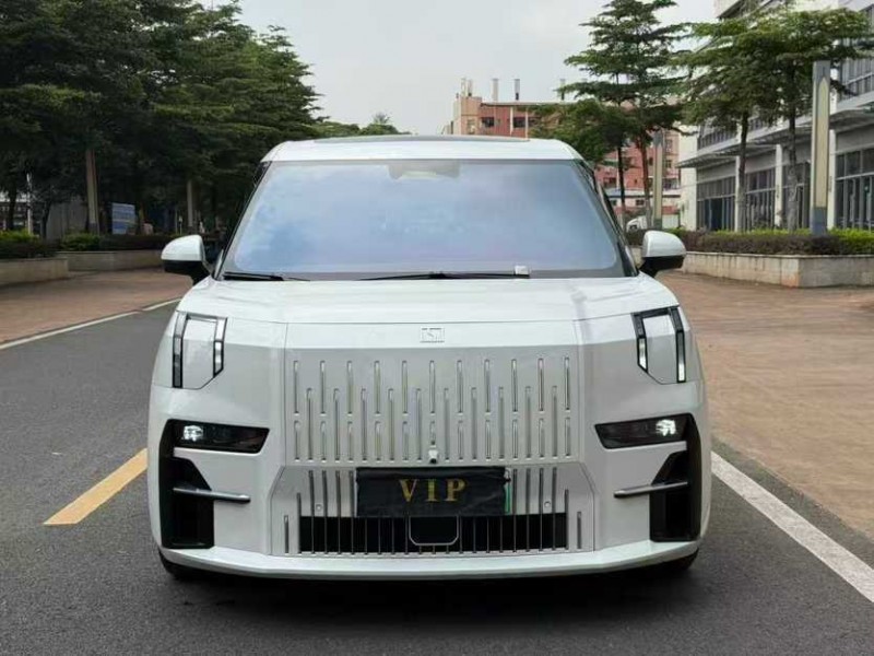 东莞24年极氪汽车0091