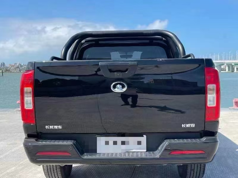 广州21年长城汽车炮 皮卡9