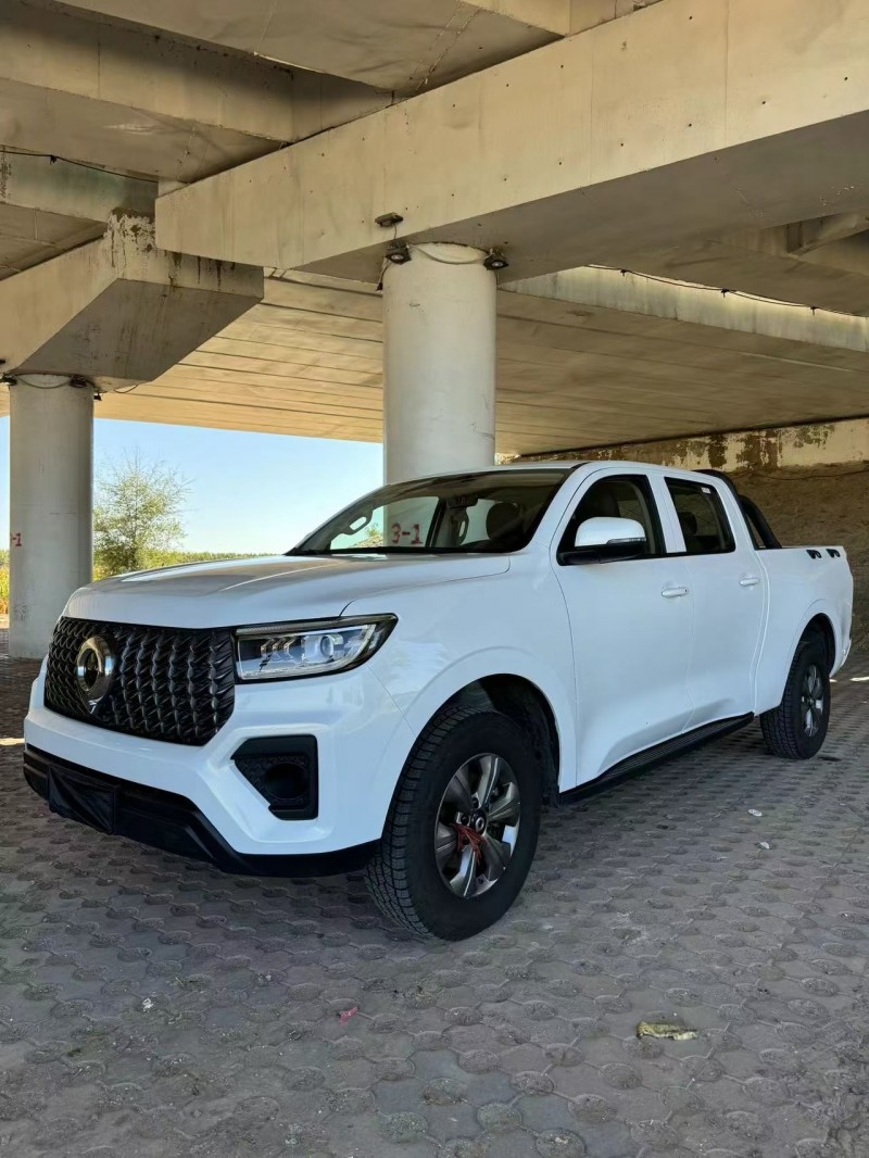 松原24年长城汽车炮 皮卡2