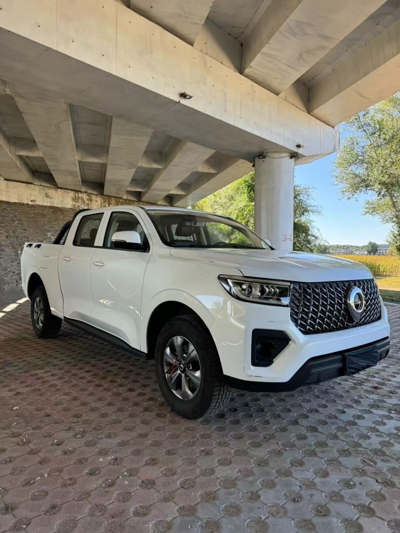 松原24年长城汽车炮 皮卡3