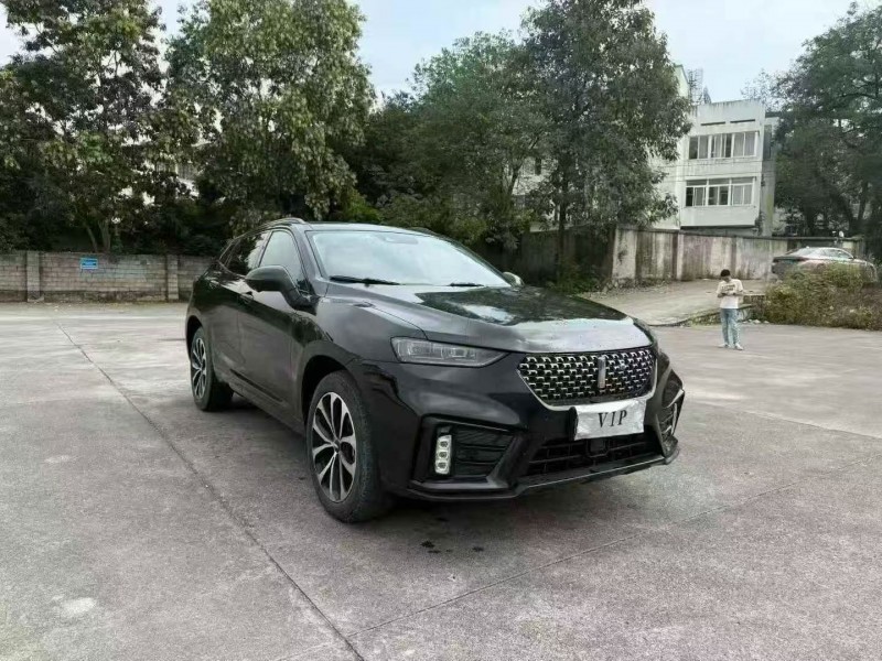 柳州20年长城汽车魏牌2