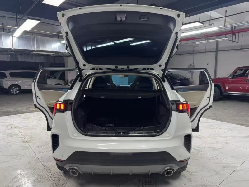 成都21年领克066