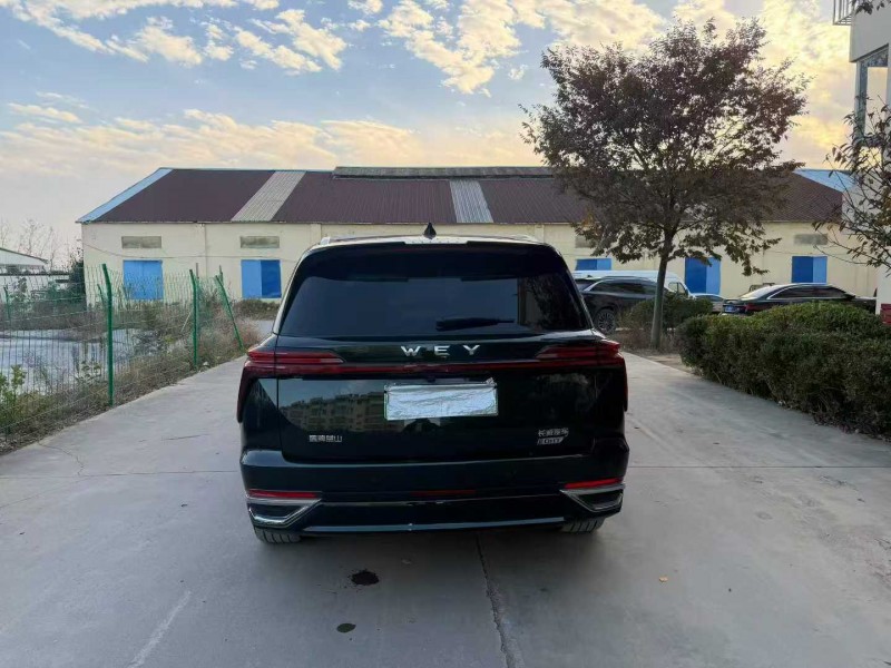 徐州23年长城汽车魏牌9