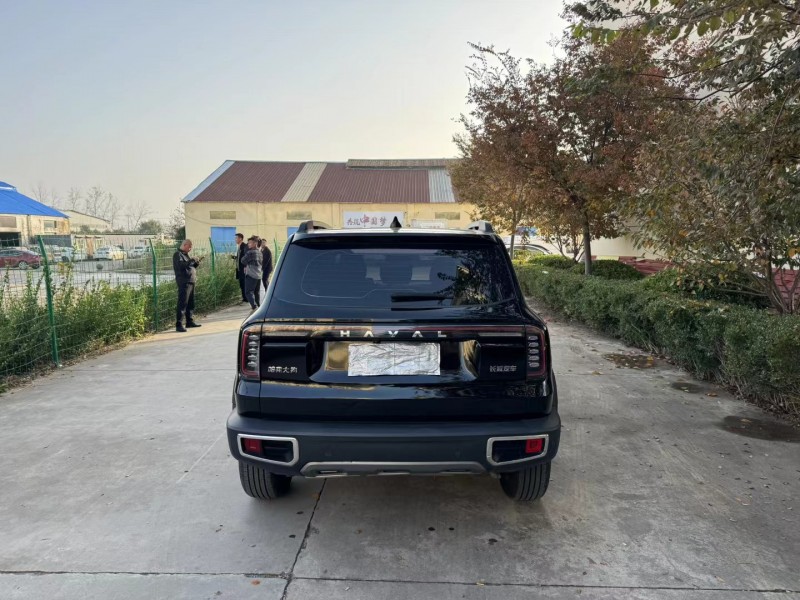 徐州24年哈弗大狗9