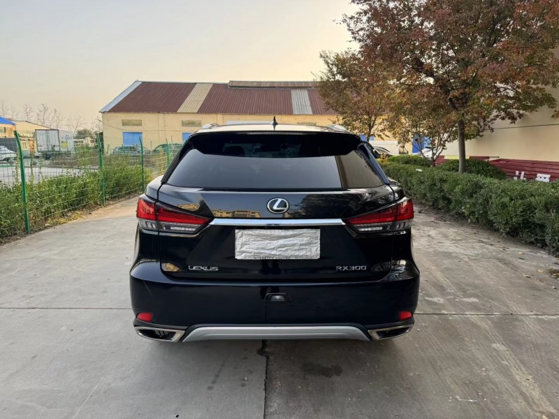 徐州21年雷克萨斯RX9