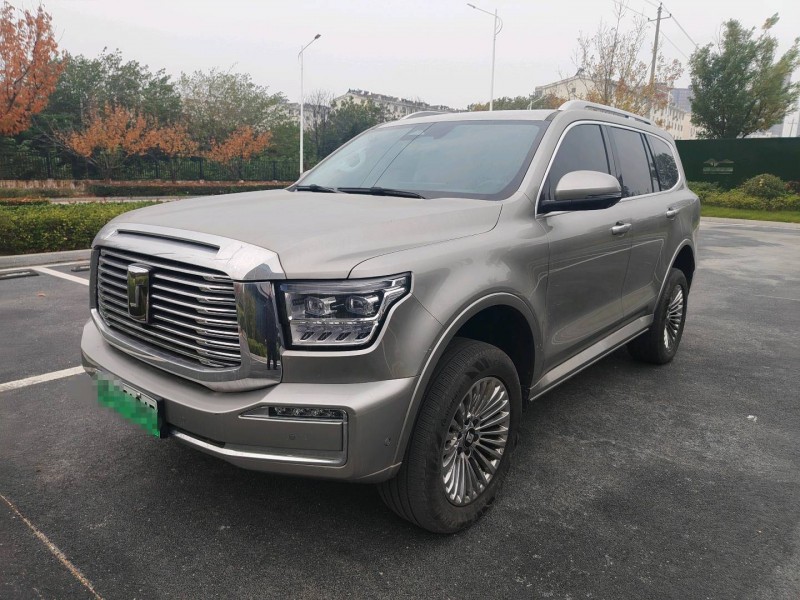 渭南24年长城汽车坦克2